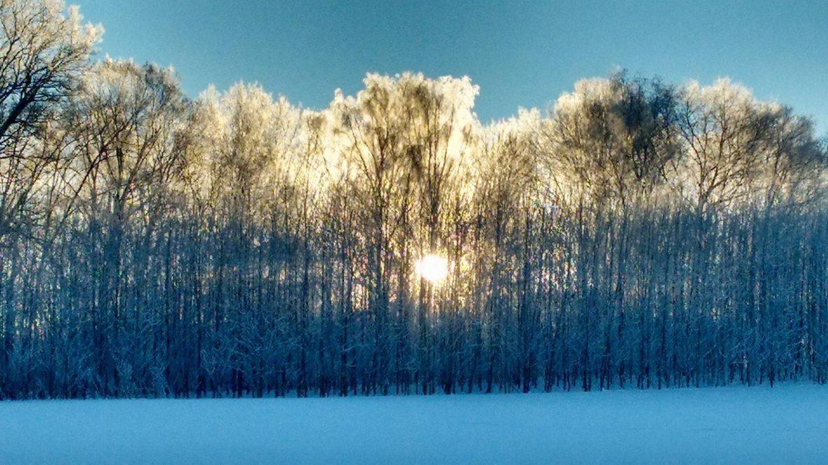 Chalupa Nad Popelkou Lomnice nad Popelkou Экстерьер фото